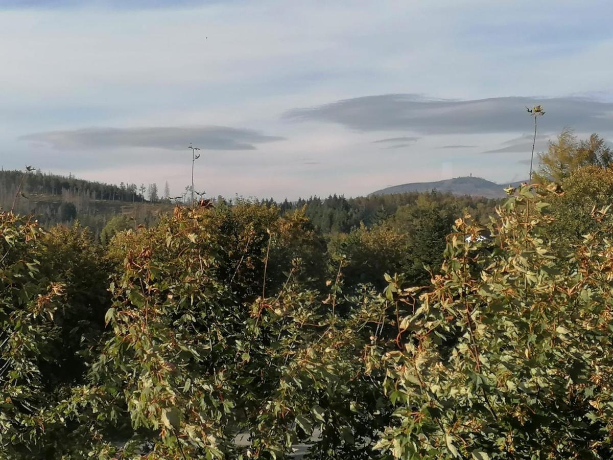 Im Oberharz Apartment